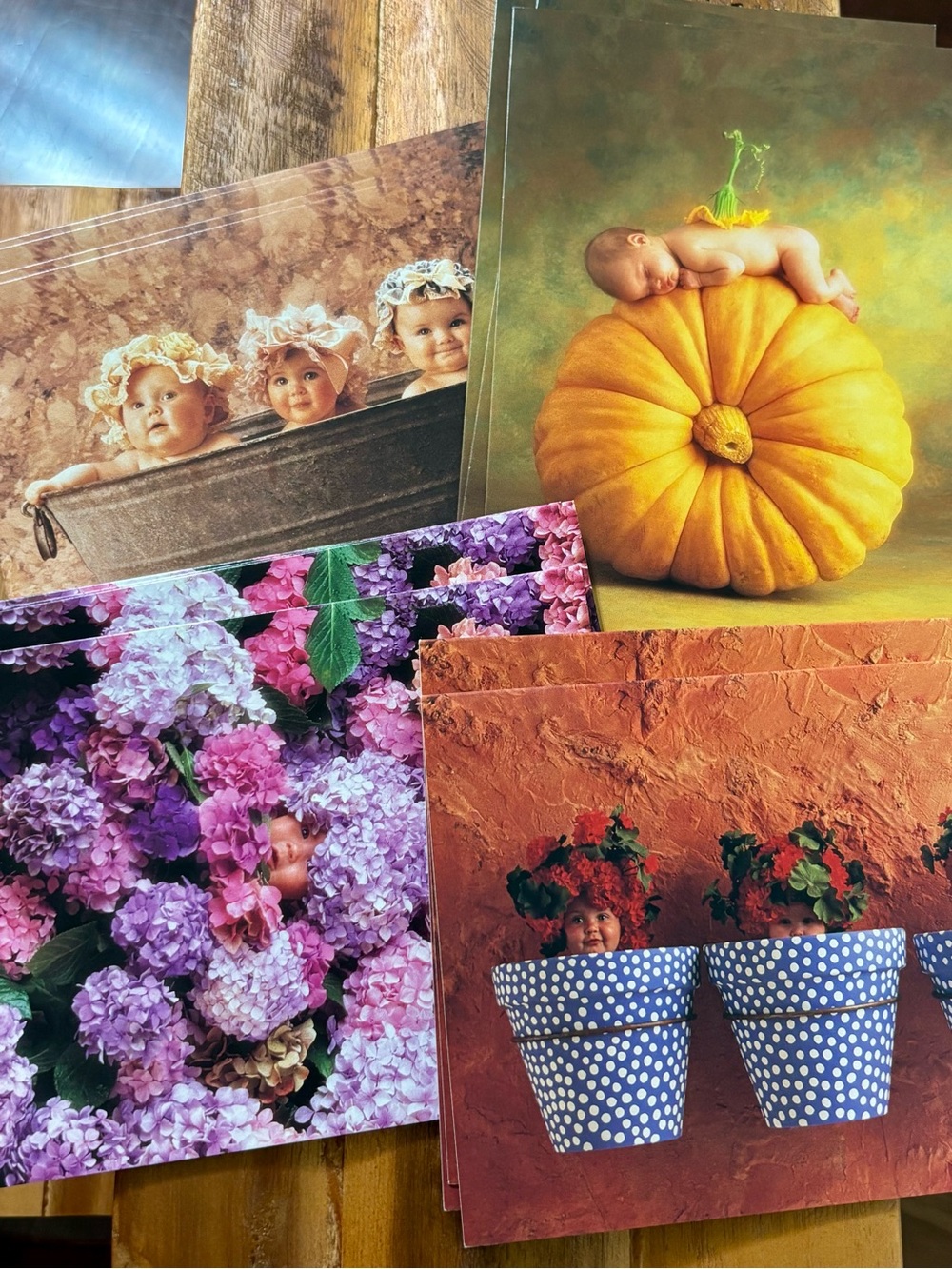 Anne Geddes Blank Baby Cards 1994/1995 flowers pumpkin tub flower pot (15)